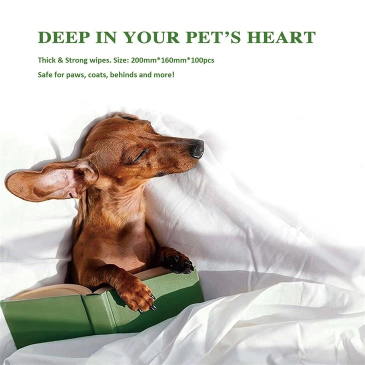 Pet Cleaning Wipes factory